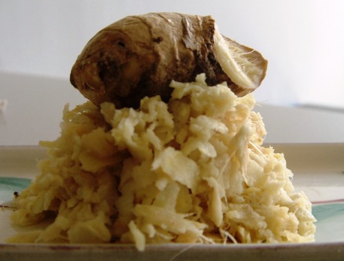 גינגר מגורד לפני ההקפאה